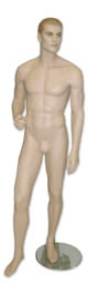 Male Full Bodied Mannequin